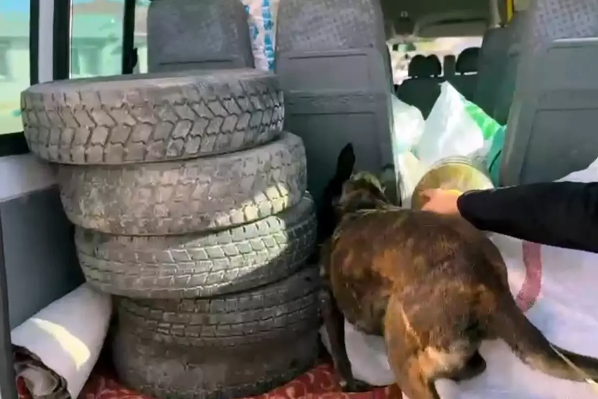 10 kilo uyuşturucu yakalandı, rezil savunmayı hakim yutmadı