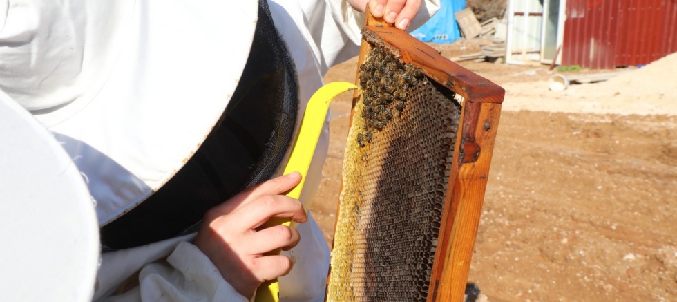 AKADEMİ HATAY KURSLARI MESLEK KAZANDIRMAYA DEVAM EDİYOR