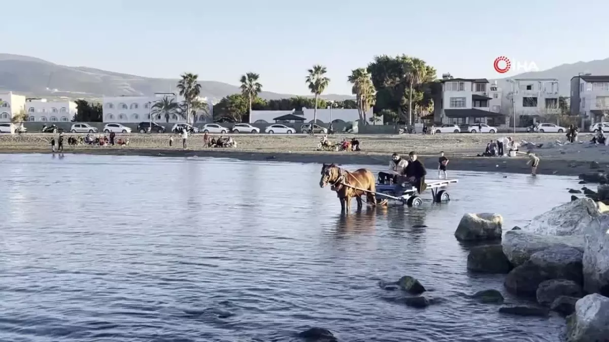 At Arabasıyla Denize Girip Güneşlendiler