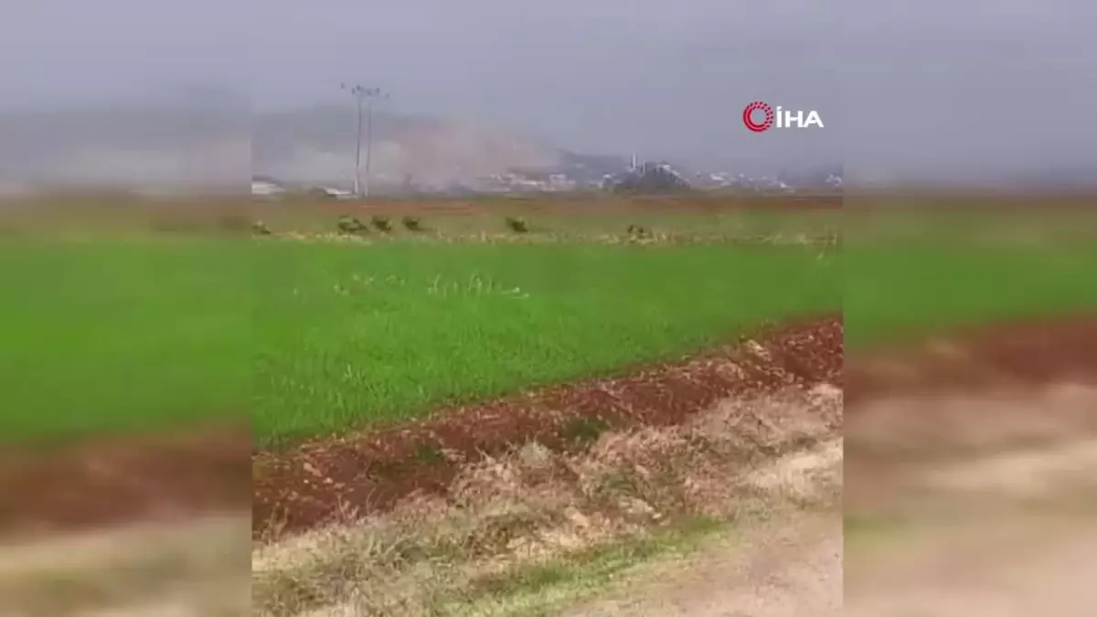 Beceriksiz Avcı Domuz Sürüsüne Ateş Etti, Arkadaşının Dalga Geçmesi Kameraya Yansıdı