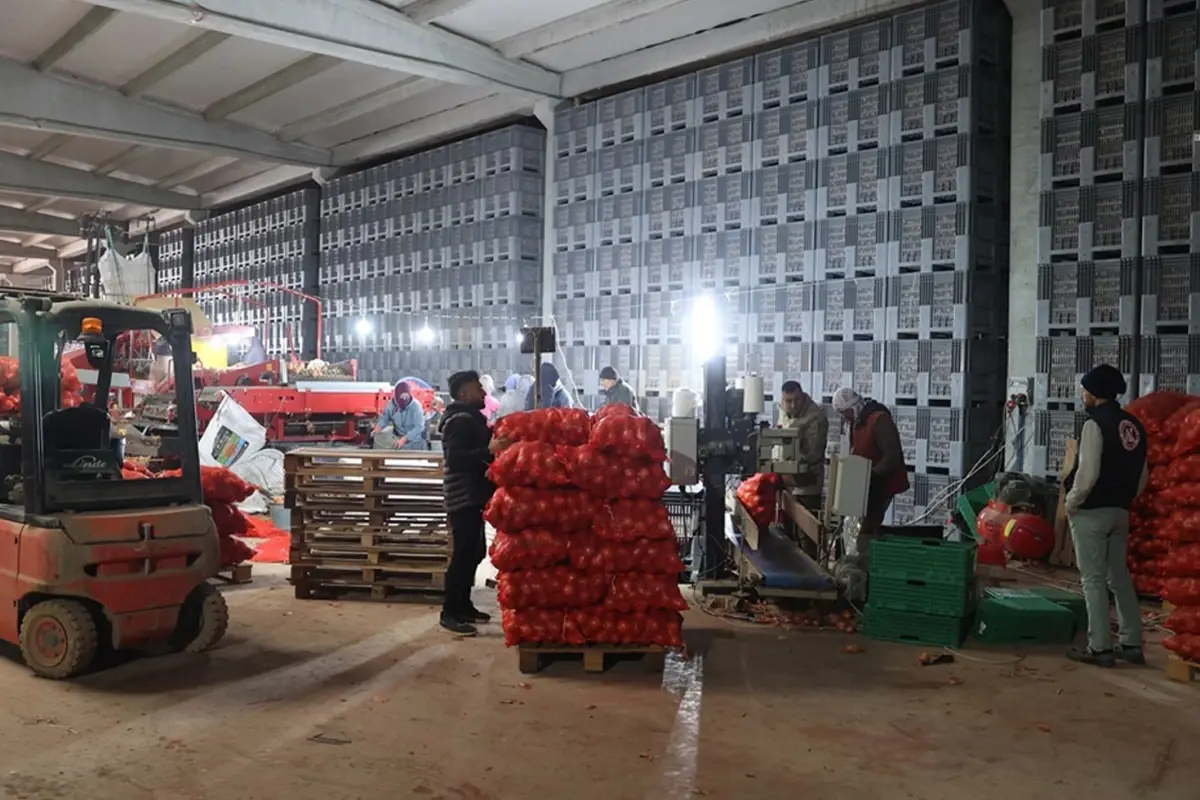 Bir girişimci devlet desteğiyle kurduğu paketleme tesisinde 30 kişiyi istihdam ediyor