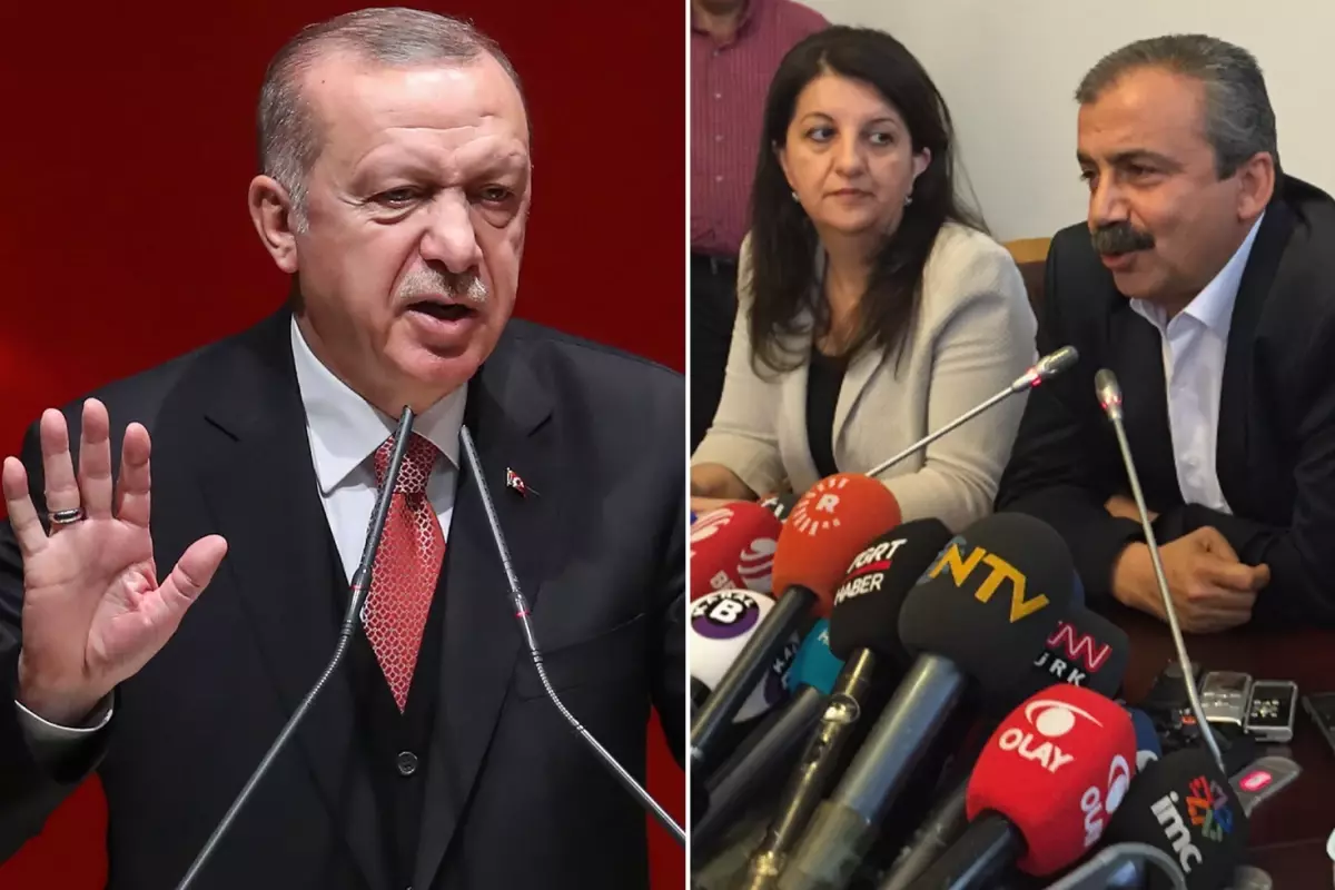 DEM Partili Koçyiğit'den İmralı mesajı: Bu süreç Erdoğan'sız olamaz