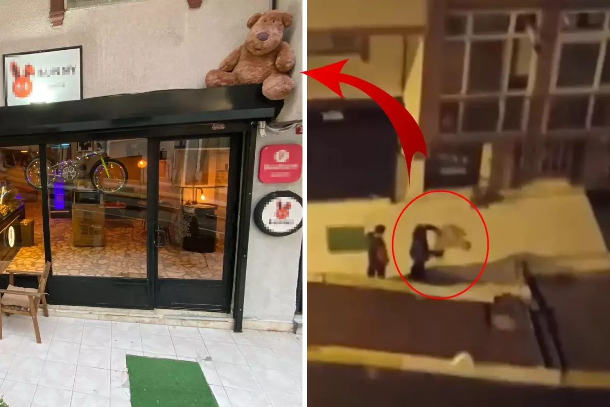 Dükkandaki oyuncak ayıyı çalan hırsız: Beğendim, aldım