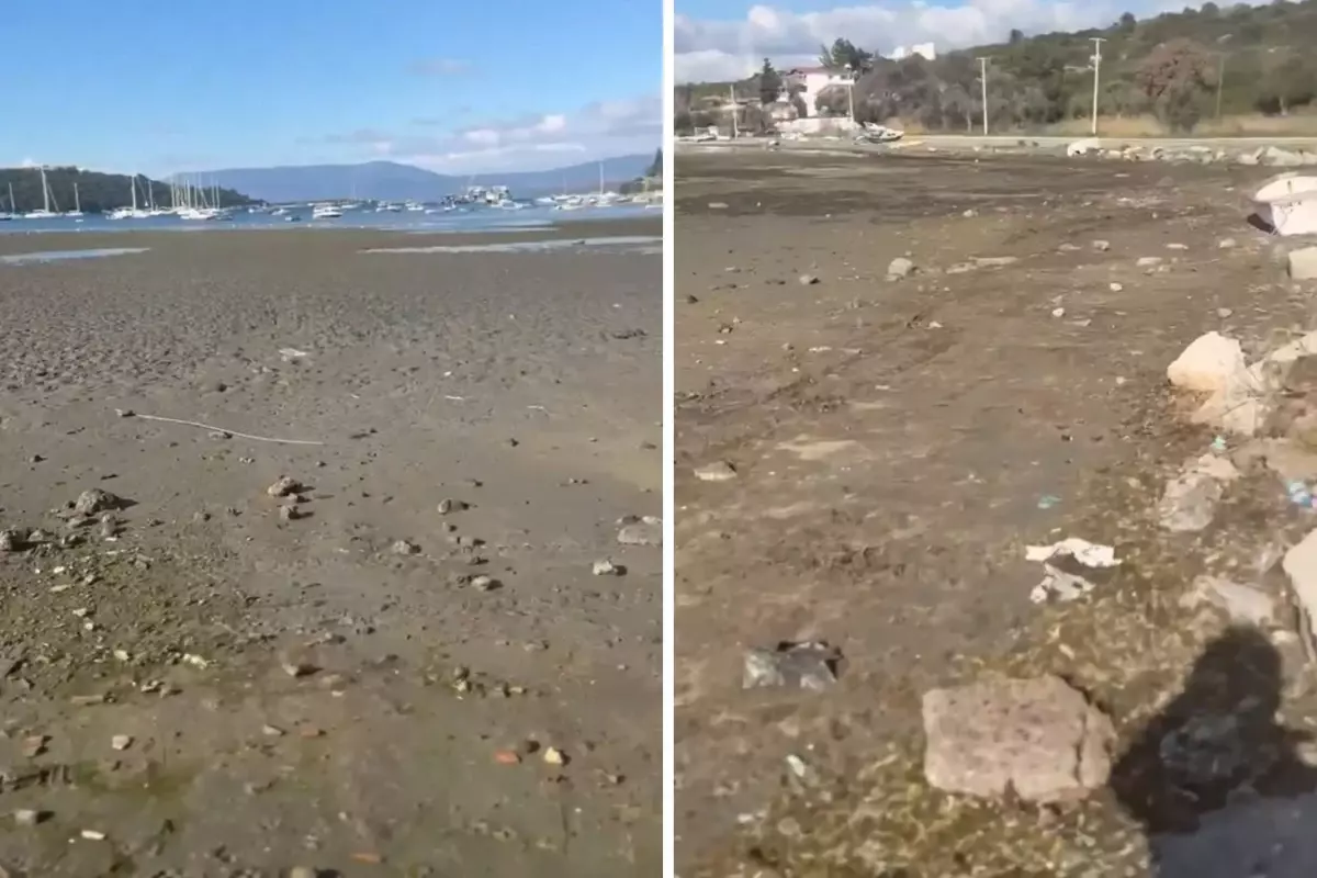 Ege'deki depremler sonrası İzmir'de çekilen görüntü endişelendirdi