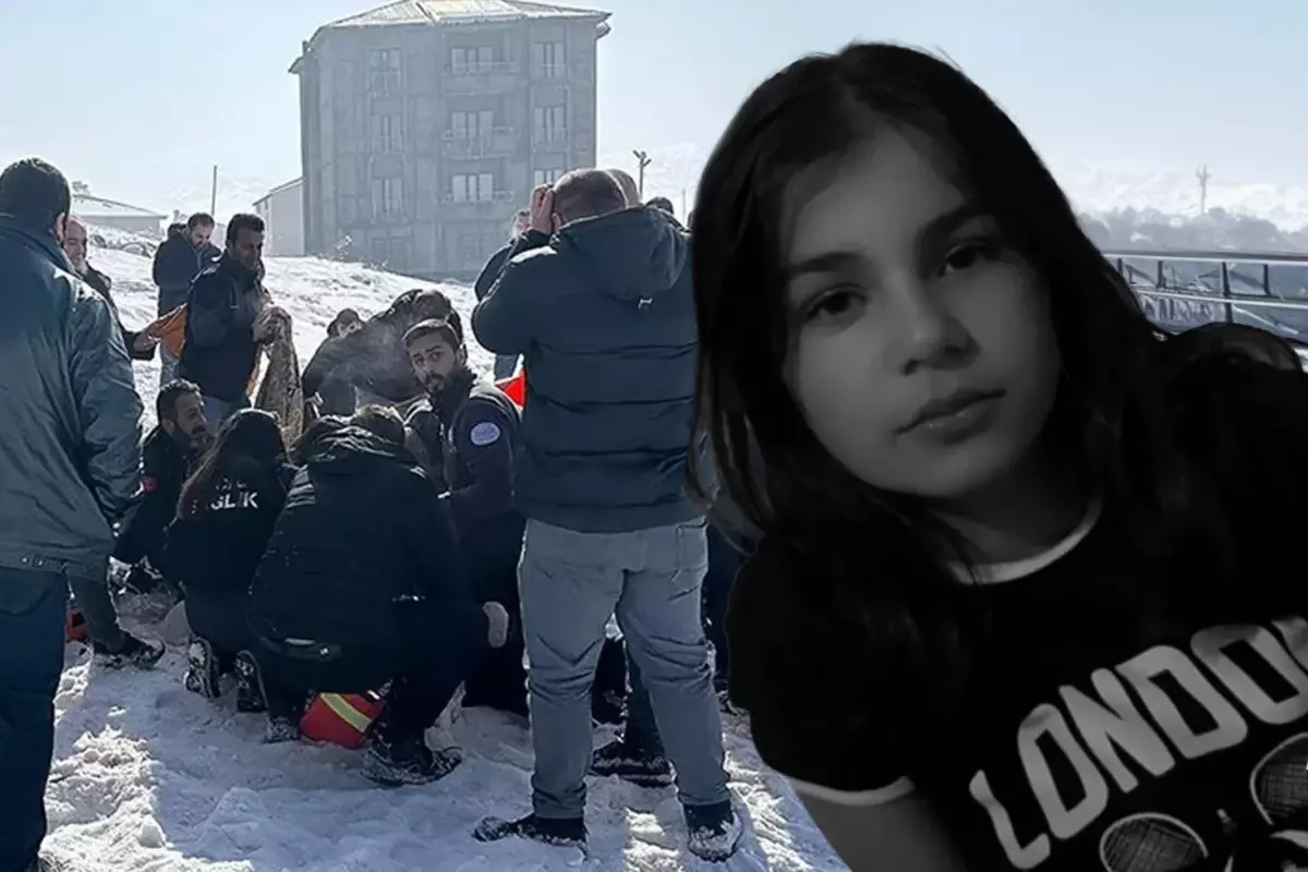 Eslem'in başıboş köpekler tarafından öldürülmesine ilişkin Yüksekova Belediye Başkanı'na soruşturma