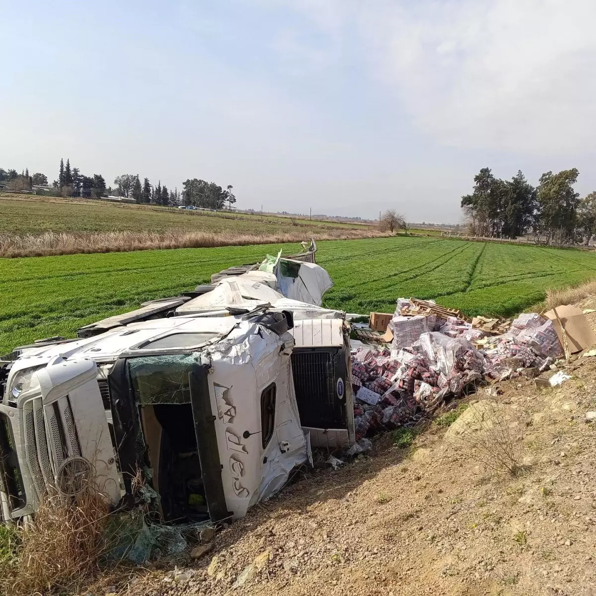 Hatay'da Enerji İçeceği Yüklü Tır Şarampole Devrildi, Sürücü Yaralandı