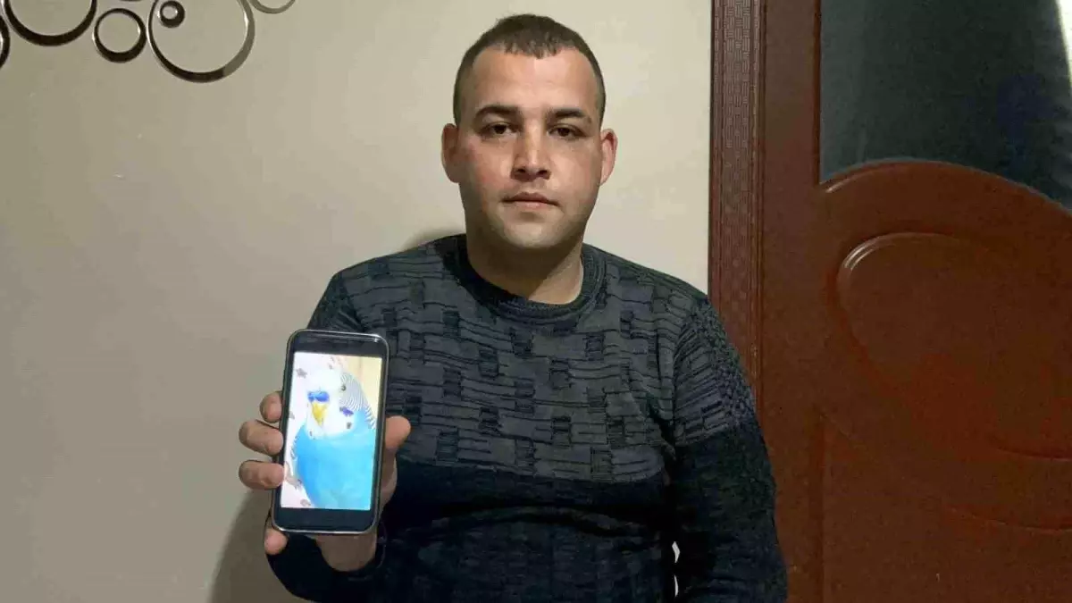 Hatay'da Kaybolan Kuş İçin 20 Bin TL Ödül