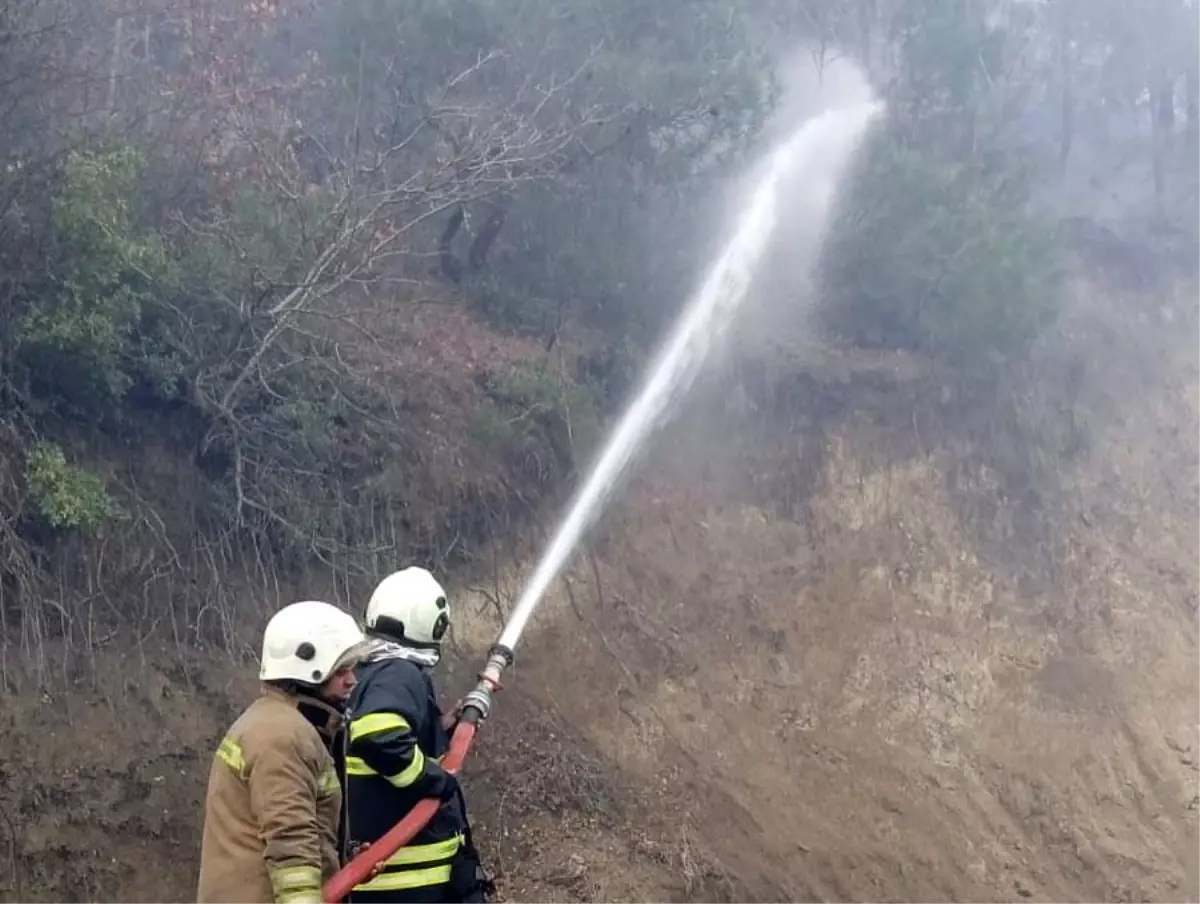 Hatay'da Ormanlık Alanda Yangın Kontrol Altına Alındı