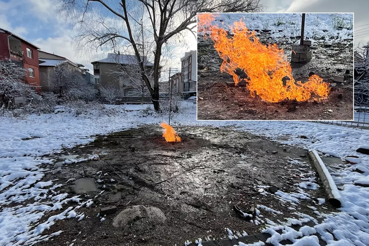 Kar yağışı da durduramadı! 5 gündür arazinin ortasında öylece yanıyor