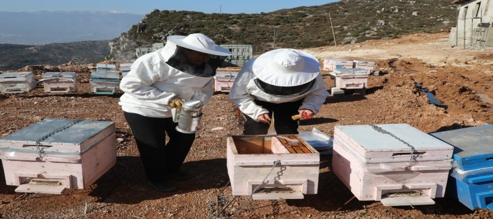 AKADEMİ HATAY KURSLARI MESLEK KAZANDIRMAYA DEVAM EDİYOR