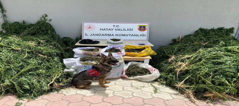 HATAY İL JANDARMA EKİPLERİ İŞİNİN BAŞINDA