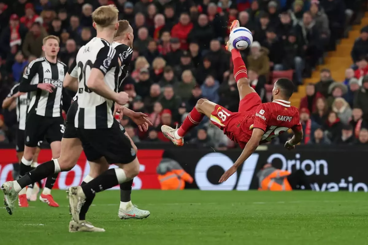 Newcastle United'ı da devirdiler! Liverpool artık şampiyon gibi