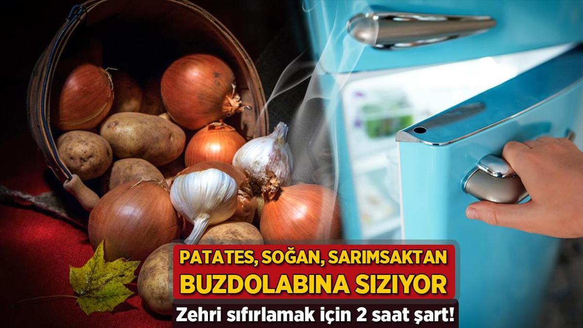 Patates, soğan ve sarımsaktan buzdolabına sızıyor! Zehri sıfırlamak için 2 saat şart
