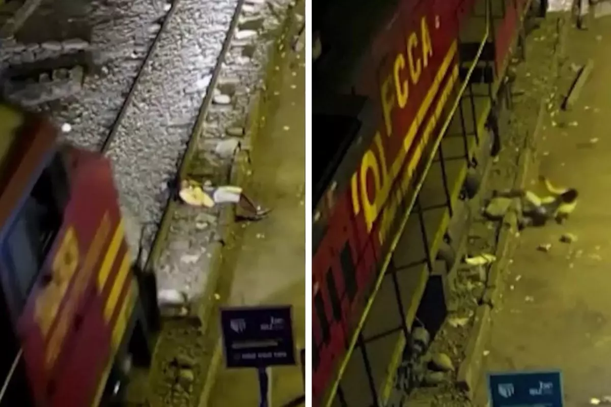 Peru'da tren raylarında uyuyakalan adam, vagonların altından sağ çıktı