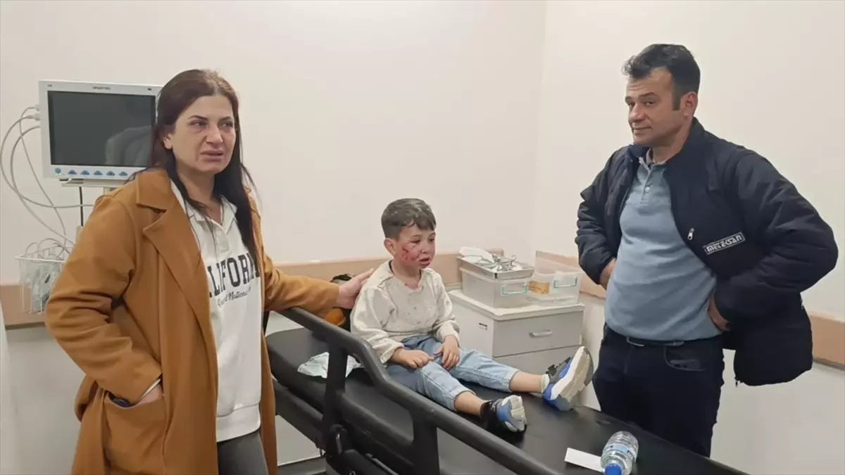 Samandağ'da Sahipsiz Köpek Çocuğu Yaraladı