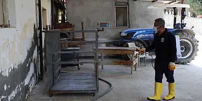 HBB’DEN KESİM ALANLARINDA BAYRAM SONRASI İLAÇLAMA
