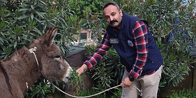 HBB’DEN YARALI EŞEĞE YARDIM ELİ